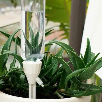 Автоматический поливатель растений, шипы для автоматического полива растений, Эффективные шипы для самополива, Регулируемый капельный полив для комнатных растений.