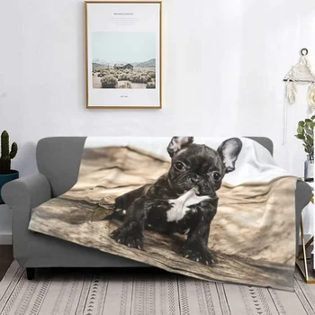 Одеяла для щенков французского бульдога из кораллового флиса, летняя собака, милый друг животных, легкое покрывало для кровати, офисные покрывала